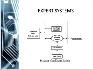 EXPERT SYSTEMS
 