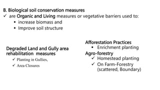 B. Biological soil conservation measures
 are Organic and Living measures or vegetative barriers used to:
 increase biomass and
 Improve soil structure
Degraded Land and Gully area
rehabilitation measures
 Planting in Gullies,
 Area Closures
Afforestation Practices
 Enrichment planting
Agro-forestry
 Homestead planting
 On Farm-Forestry
(scattered, Boundary)
 