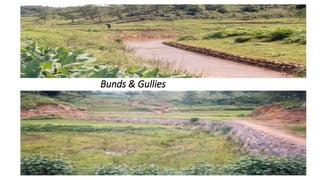 Bunds & Gullies
 