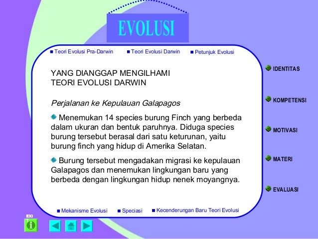 Evolusi