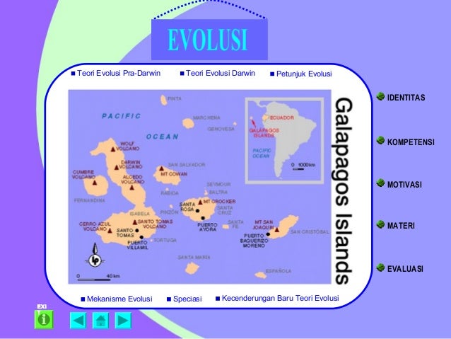 Evolusi
