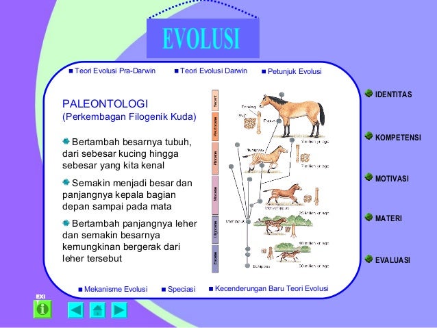 Evolusi Evolusi
