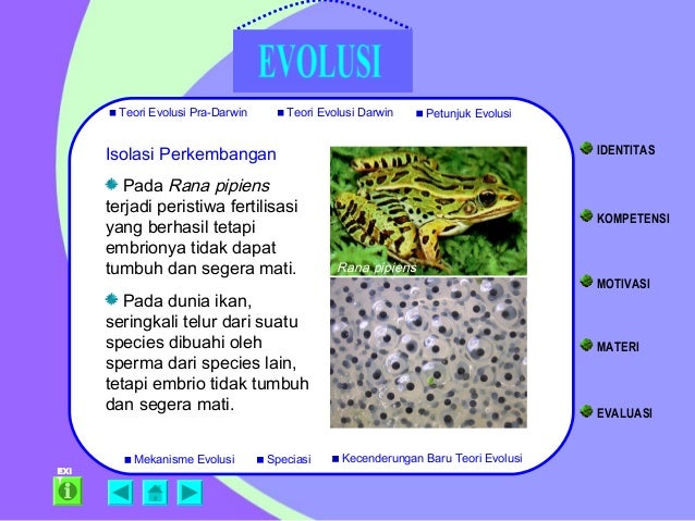 Evolusi Evolusi
