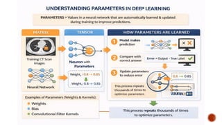 Deep Learning and AI Applications in Medical Imaging and Radiology | PPTX