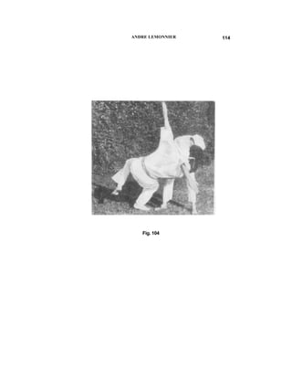 ANDRE LEMONNIER   114




   Fig. 104
 