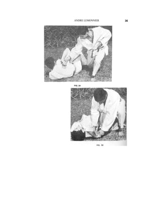 ANDRE LEMONNIER   36




FIG. 24
 