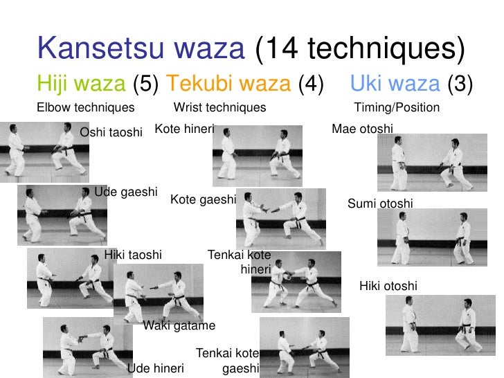 Shodokan Aikido Basics