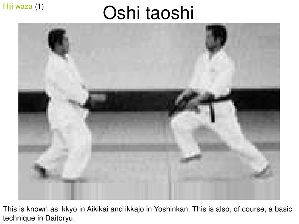 Shodokan Aikido Basics