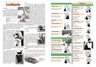 ---------Manual del Principiante
---------                          Aetaiki - Aikikai Español   5                                                                                                                   ---------Manual del Principiante
                                                                                                                                                                                   ---------                          Aetaiki - Aikikai Español   10

                                                                   Hakama
                                                                                                                                         4 - Golpes dados de frente                            TÉCNICAS
                                                                           El hakama era utilizado por los caballeros
                                                                   (jinetes), es como una "falda-pantalón" clásicamente                                                               1 - Técnicas de Base
                                                                   confeccionada en algodón índigo o negro. Hoy en día se        SHOMEN UCHI
                                                                                  encuentran tejidos sintéticos más fáciles                                                IRIMI NAGE
El Equipo                                                                         de cuidar y que conservan mejor los
                                                                                  pliegues. Su uso no está sólo reservado a     Golpe de frente a la cabeza,              Proyección entrando hacia el
         Para la práctica (Keiko), se lleva                                                                                     con el canto de la mano                   centro del Aite
hakama, obi y un keikogi (chaqueta y                                              los cinturones negros, normalmente se
                                                                                  porta desde la obtención del 2º kyu. Es un                                              Iri = Centro
pantalón) sin ninguna ropa interior (no                                                                                                                                   Mi = cuerpo
obstante las mujeres llevan un "mai-                                              momento en el que el practicante ha
                                                                                  tomado implicitamente el compromiso de                                                  Nage = Proyección
llot"). Este conjunto es la adaptación a                                                                                         YOKOMEN UCHI
                                                                                  continuar practicando Aikido. Los lazos de
la práctica de la ropa, en otros tiempos,                                                                                                                                  KOTE GAESHI
llevada habitualmente por los samurais                                            la parte delantera se anudan normal-
y que presenta las ventajas siguientes:                                           mente en la espalda, pero está formal-        Golpe de lado a la cabeza,
                                                                                  mente proscrito en el marco de la prácti-     con el canto de la mano                   Torsión de la muñeca
                                                                                  ca del Aikido ya que existe peligro para la                                             Ko = pequeño
              comodidad, no entorpece los
           movimientos                                                            columna vertebral a causa de los ukemi.                                                 Te = mano
                                                                                  Hay pues que anudarlos sobre el costado o                                               Kaeshi = torsión
              solidez                                                                                                            MAE GERI
                                                                                  si su longitud lo permite anudarlas
              buena absorción de la trans-
                                                                                  delante. Se recomienda pasar los lazos de                                                SHIHO NAGE
           piración                                                                                                             Patada
                                                                                  la parte trasera bajo los delanteros, que
                                                                                                                                                                          Proyección en todas direc-
        Lo más notable es que, si el conjunto se lleva             están por encima, a nivel de las caderas para terminar        TSUKI (CHUNDAN)                          ciones
correctamente, la actitud se ve mejorada, fortaleciendo            atándolos delante por medio de un nudo llano que coja
                                                                                                                                                                          Shi = 4
en consecuencia lo mental. En Aikido el hecho de vestir            todas las tiras anteriores.
                                                                                                                                                                          Ho = Dirección
el conjunto tradicional de los samurais permite al aiki-                                                                        Golpe de puño sobre la parte              Nage = Proyección
doka dirigirse hacia la práctica, cuerpo y espíritu unifi-                El conjunto se complemen-                             central del cuerpo
                                                                   ta con unas zapatillas, denomi-
cados, desde el mismo comienzo del ejercicio.                                                                                                                              UCHI KAITEN NAGE
Keikogi                                                            nadas zooris.
        La vestimenta puede ser indiferentemente la de                                                                                                                    Proyección rotatoria por el
Judo, la de Karate, o la de                                        Las Armas                                                     TSUKI (JODAN)                            interior
Kendo a condición de que sea                                                                                                                                              Uchi = Golpear - interior
blanca y tejida en algodón.                                        Jo
                                                                                                                                Golpe de puño sobre el tercio             Kaiten = Rotación
Sin embargo los conjuntos                                                   Bastón de madera, de lon-
                                                                   gitud 128 cm. y diámetro 2,6 cm.                             superior del cuerpo
tejidos en "grano de arroz",
                                                                   Hay que procurar no utilizar jo                                                                         TENCHI NAGE
gruesos son preferibles ya
que son más resistentes y                                          demasiado delgados que son                                                                             Proyección con los brazos en
absorben mejor la trans-                                           frágiles y que pueden resultar peli-                               5 - Cogida y golpe de frente        extensión, uno hacia el cielo,
piración.     Las    mujeres                                       grosos. Sin embargo un jo demasia-                                                                     otro hacia la tierra
pueden agregar un lazo para                                        do grueso resultará difícil de mane-                                                                   Ten = Cielo
                                                                                                                                 KATA DORI MEN UCHI
evitar que la chaqueta se                                          jar. Podemos elegir entre madera                                                                       Chi = Tierra
abra. El revés izquierdo                                           de roble blanco o rojo cuidándose                            Cogida del hombro y golpe
cubre el revés derecho. Sólo                                       de que las vetas corran a todo lo                            sobre lo alto de la cabeza                 HIJI KIME OSAE
los muertos son vestidos al                                        largo del jo.
revés. En el pantalón las pro-                                     Tanto                                                         SODE DORI JODAN TSUKI
tecciones de las rodillas se                                             Un cuchillo de madera, su empuñadura de alrede-                                                  Inmovilización por blocaje
                                                                              dor de 10 cm. La hoja de unos 20 cm. Estas        Cogida de la manga (codo) y
sitúan delante, así como las trabillas del pantalón, que                                                                                                                  del codo en acción inversa
                                                                                dimensiones corresponden a las armas más        golpe sobre la parte superior
sirven para mantener los lazos del cordón de la cintura                                                                                                                   Hiji = Codo
                                                                   manejables.                                                  del cuerpo
que se anuda delante.                                                                                                                                                     Osae = Inmovilización
Obi                                                                Bokken                                                        MUNA DORI MEN UCHI
        Se puede utilizar una cin-                                          Es un sustituto en madera de la katana. En Aikido
                                                                   se utiliza sin tsuba. Se puede utilizar el bokken que se
                                                                                                                                Cogida de las solapas con una              KOKYU NAGE
turón de Judo pero es preferible                                                                                                mano y golpe a la cabeza con
cuando se lleva hakama, utilizar                                                                                                la otra                                   Proyección por expansión de
un cinturón del mismo tipo que los                                                                                                                                        la energía potencial interna
utilizados por los practicantes de                                 prefiera pero, como para el sable, hay que escogerlo en       6 - Cogida por la espalda y golpe dado
                                                                                                                                                                          Ko = Expirar
Iai. Una longitud media de 3.50 m                                  función de su talla y de su mano. En general, un buen                    al mismo tiempo               Kyu = Inspirar
permite dar tres vueltas a la                                      bokken de roble blanco es suficiente.
                                                                                                                                                                          Nage = Proyección
cadera y anudarlo a la cintura. El
ancho varía de 6 a 8 cm. Sólo se                                                                            Las armas            USHIRO ERI DORI MEN UCHI
                                                                                                                                                                           KOSHI NAGE
llevan el blanco o el índigo, y el                                                                          deben ir en su
negro para los yudansha. El cinto                                                                           correspondiente     Cogida del cuello del Gi por              Proyección de cadera
será de algodón. El Obi puede ser                                                                           funda               detrás y golpe a la cabeza                Koshi = Caderas
enrollado o doblado sobre si
mismo, para recogerlo.
 