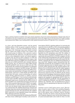 DING et al: APPLICATION OF AILANTHONE IN HUMAN CANCER
1492
in a dose‑ and time‑dependent manner, and the growth
inhibition ability of AIL was greater compared with that of
cisplatin, which is a first‑line chemotherapeutic drug for
lung cancer (42). Orthotopic lung tumor models revealed
that the volume and weight of tumors were smaller in the
AIL‑treated group. In addition, flow cytometry analysis
demonstrated that AIL induced G1 or G2/M arrest of tumor
cells in a dose‑independent manner and induced apoptosis
in H1975 cells, but did not induce apoptosis in A549 and
H1299 cells (42). Western blotting showed that caspase‑3 and
poly‑ADP‑ribose polymerase (PARP) were activated in H1975
cells, but not in A549 and H1299 cells; similarly, following
DAPI staining, AIL was observed to induce DNA damage
in H1299 and H1975 cells, but not in A549 cells (42). This
indicated that AIL‑mediated growth inhibition was dependent
on the induction of apoptosis and DNA damage. The authors
further elucidated its mechanism of action using cDNA micro-
array analysis and reported that 1,222 genes were significantly
differentially expressed in A549, H1299 and H1975 cells;
among them, four genes, namely proliferating cell nuclear
antigen (PCNA), replication protein A 1 (RPA1), acyl‑CoA
desaturase and DNA ligase 1, were involved in both nucleotide
excision repair and DNA replication signaling pathways (42).
Subsequent experiments revealed that the mRNA levels of
PCNA and RPA1 were significantly decreased in all tested cell
lines, while the protein expression levels of RPA1 were signifi-
cantly decreased in a dose‑dependent manner, and PCNA
levels were not altered. Lastly, using animal experiments, it
was confirmed that AIL inhibited subcutaneous xenograft and
orthotopic lung tumor growth and prolonged the survival time
of tumor‑bearing mice (42). This indicated that AIL inhibited
RPA1 expression in a dose‑dependent manner, thus inhibiting
DNA replication and tumor cell growth.
Houetal(41)demonstratedthatAILinhibitedthePI3K/AKT
and Janus kinase (JAK)/signal transducer and activator of
transcription (STAT)3 signaling pathways by increasing the
expression levels of miR‑195, as well as by promoting apoptosis
and autophagy in the A549 lung cancer cell line. Abnormal
expression of miR‑195 is associated with the development and
progression of numerous types of tumors, such as breast (65),
lung (66), liver (67) and prostate cancer (68). The viability of
A549 cells treated with different concentrations of AIL was
significantly decreased (P<0.01 or P<0.001) compared with that
in the control group. Cell proliferation and cyclin D1 expression
levels were also significantly decreased in cells treated with AIL
(P<0.01), suggesting that AIL also inhibited the proliferation of
lung cancer cells. Apoptotic analysis demonstrated that AIL
significantly increased the rate of apoptosis of tumor cells, and
the protein expression levels of cleaved‑caspase‑3 and ‑9 were
increased, further indicating that AIL pomoted apoptosis (41).
However, Ni et al (42) did not report that AIL induces apoptosis
in A549 cells. Considering that a previous study identified that
miR‑195 was associated with lung cancer (66), Hou et al (41)
detected the expression levels of miR‑195 and the protein
expression levels of autophagy‑related proteins Beclin‑1 and p62
rin AIL‑treated A549 cells. It was concluded that AIL promoted
apoptosis and autophagy by upregulating miR‑195, which was
verified by knockdown of miR‑195. Also the upregulation of
miR‑195 inhibited the PI3K/AKT and JAK/STAT3 signaling
pathways (41). Therefore, AIL was hypothesized to exert its
anticancer effects by upregulating the expression of miR‑195 in
lung cancer.
Antitumor activity of AIL against gastric cancer. The inci-
dence of gastric cancer in East Asia (including Mongolia,
China, Japan and Korea) is notably higher compared with
that in other regions, such as Northern America, Northern
Europe, and Africa (5). Gastric cancer has become the fifth
most frequently diagnosed cancer and the third leading cause
of cancer‑associated death in the world (5). Chen et al (43)
Figure 2. Antitumor mechanism of ailanthone. Green arrows indicates upregulation, and red arrows indicate downregulation of molecular targets. Bcl-2, B
cell lymphoma-2; Bax, Bcl-2-associated X; mi, micro; PI3K, phosphoinositide 3-kinase; AKT, protein kinase B; JAK, Janus kinase; STAT3, signal transducer
and activator of transcription 3; RAF, RAF proto-oncogene serine/threonine-protein kinase; MEK, mitogen-activated protein kinase; ERK, extracellular
signal-regulated kinases; MMP-9, matrix metalloproteinase-9; EMT, epithelial mesenchymal transition; LC3, light chain 3; Cyt-c, cytochrome C.
 