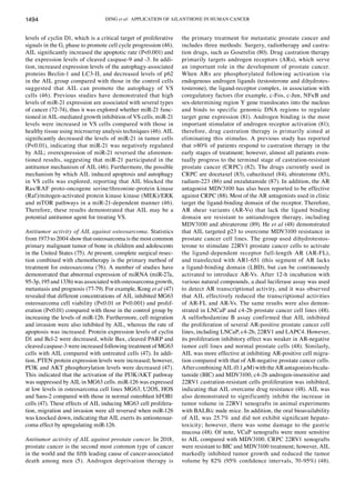 DING et al: APPLICATION OF AILANTHONE IN HUMAN CANCER
1494
levels of cyclin D1, which is a critical target of proliferative
signals in the G1 phase to promote cell cycle progression (46).
AIL significantly increased the apoptotic rate (P<0.001) and
the expression levels of cleaved caspase‑9 and ‑3. In addi-
tion, increased expression levels of the autophagy‑associated
proteins Beclin‑1 and LC3‑II, and decreased levels of p62
in the AIL group compared with those in the control cells
suggested that AIL can promote the autophagy of VS
cells (46). Previous studies have demonstrated that high
levels of miR‑21 expression are associated with several types
of cancer (72‑74), thus it was explored whether miR‑21 func-
tioned in AIL‑mediated growth inhibition of VS cells. miR‑21
levels were increased in VS cells compared with those in
healthy tissue using microarray analysis techniques (46). AIL
significantly decreased the levels of miR‑21 in tumor cells
(P<0.01), indicating that miR‑21 was negatively regulated
by AIL; overexpression of miR‑21 reversed the aforemen-
tioned results, suggesting that miR‑21 participated in the
antitumor mechanism of AIL (46). Furthermore, the possible
mechanism by which AIL induced apoptosis and autophagy
in VS cells was explored, reporting that AIL blocked the
Ras/RAF proto‑oncogene serine/threonine‑protein kinase
(Raf)/mitogen‑activated protein kinase kinase (MEK)/ERK
and mTOR pathways in a miR‑21‑dependent manner (46).
Therefore, these results demonstrated that AIL may be a
potential antitumor agent for treating VS.
Antitumor activity of AIL against osteosarcoma. Statistics
from 1973 to 2004 show that osteosarcoma is the most common
primary malignant tumor of bone in children and adolescents
in the United States (75). At present, complete surgical resec-
tion combined with chemotherapy is the primary method of
treatment for osteosarcoma (76). A number of studies have
demonstrated that abnormal expression of miRNA (miR‑27a,
95‑3p, 195 and 133b) was associated with osteosarcoma growth,
metastasis and prognosis (77‑79). For example, Kong et al (47)
revealed that different concentrations of AIL inhibited MG63
osteosarcoma cell viability (P<0.01 or P<0.001) and prolif-
eration (P<0.01) compared with those in the control group by
increasing the levels of miR‑126. Furthermore, cell migration
and invasion were also inhibited by AIL, whereas the rate of
apoptosis was increased. Protein expression levels of cyclin
D1 and Bcl‑2 were decreased, while Bax, cleaved PARP and
cleaved caspase‑3 were increased following treatment of MG63
cells with AIL compared with untreated cells (47). In addi-
tion, PTEN protein expression levels were increased; however,
PI3K and AKT phosphorylation levels were decreased (47).
This indicated that the activation of the PI3K/AKT pathway
was suppressed by AIL in MG63 cells. miR‑126 was expressed
at low levels in osteosarcoma cell lines MG63, U2OS, HOS
and Saos‑2 compared with those in normal osteoblast hFOB1
cells (47). These effects of AIL inducing MG63 cell prolifera-
tion, migration and invasion were all reversed when miR‑126
was knocked down, indicating that AIL exerts its antiosteosar-
coma effect by upregulating miR‑126.
Antitumor activity of AIL against prostate cancer. In 2018,
prostate cancer is the second most common type of cancer
in the world and the fifth leading cause of cancer‑associated
death among men (5). Androgen deprivation therapy is
the primary treatment for metastatic prostate cancer and
includes three methods: Surgery, radiotherapy and castra-
tion drugs, such as Goserelin (80). Drug castration therapy
primarily targets androgen receptors (ARs), which serve
an important role in the development of prostate cancer.
When ARs are phosphorylated following activation via
endogenous androgen ligands (testosterone and dihydrotes-
tosterone), the ligand‑receptor complex, in association with
coregulatory factors (for example, c‑Fos, c‑Jun, NFκB and
sex‑determining region Y gene translocates into the nucleus
and binds to specific genomic DNA regions to regulate
target gene expression (81). Androgen binding is the most
important stimulator of androgen receptor activation (81);
therefore, drug castration therapy is primarily aimed at
eliminating this stimulus. A previous study has reported
that >80% of patients respond to castration therapy in the
early stages of treatment; however, almost all patients even-
tually progress to the terminal stage of castration‑resistant
prostate cancer (CRPC) (82). The drugs currently used in
CRPC are docetaxel (83), cabazitaxel (84), abiraterone (85),
radium‑223 (86) and enzalutamide (87). In addition, the AR
antagonist MDV3100 has also been reported to be effective
against CRPC (88). Most of the AR antagonists used in clinic
target the ligand‑binding domain of the receptor. Therefore,
AR shear variants (AR‑Vs) that lack the ligand binding
domain are resistant to antiandrogen therapy, including
MDV3100 and abiraterone (89). He et al (48) demonstrated
that AIL targeted p23 to overcome MDV3100 resistance in
prostate cancer cell lines. The group used dihydrotestos-
terone to stimulate 22RV1 prostate cancer cells to activate
the ligand‑dependent receptor full‑length AR (AR‑FL),
and transfected with AR1‑651 (this segment of AR lacks
a ligand‑binding domain (LBD), but can be continuously
activated to introduce AR‑Vs. After 12-h incubation with
various natural compounds, a dual luciferase assay was used
to detect AR transcriptional activity, and it was observed
that AIL effectively reduced the transcriptional activities
of AR‑FL and AR‑Vs. The same results were also demon-
strated in LNCaP and c4‑2b prostate cancer cell lines (48).
A sulforhodamine B assay confirmed that AIL inhibited
the proliferation of several AR‑positive prostate cancer cell
lines, including LNCaP, c4‑2b, 22RV1 and LAPC4. However,
its proliferation inhibitory effect was weaker in AR‑negative
tumor cell lines and normal prostate cells (48). Similarly,
AIL was more effective at inhibiting AR‑positive cell migra-
tion compared with that of AR‑negative prostate cancer cells.
AftercombiningAIL(0.1µM)withtheARantagonistsbicalu-
tamide (BIC) and MDV3100, c4‑2b androgen‑insensitive and
22RV1 castration‑resistant cells proliferation was inhibited,
indicating that AIL overcame drug resistance (48). AIL was
also demonstrated to significantly inhibit the increase in
tumor volume in 22RV1 xenografts in animal experiments
with BALB/c nude mice. In addition, the oral bioavailability
of AIL was 25.7% and did not exhibit significant hepato-
toxicity; however, there was some damage to the gastric
mucosa (48). Of note, VCaP xenografts were more sensitive
to AIL compared with MDV3100. CRPC 22RV1 xenografts
were resistant to BIC and MDV3100 treatment; however, AIL
markedly inhibited tumor growth and reduced the tumor
volume by 82% (95% confidence intervals, 70‑95%) (48).
 