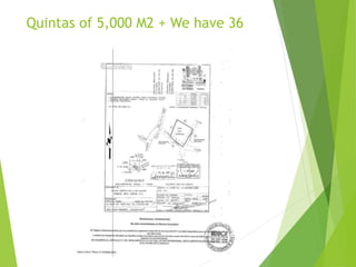 Quintas of 5,000 M2 + We have 36
 