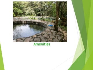 Amenities
 