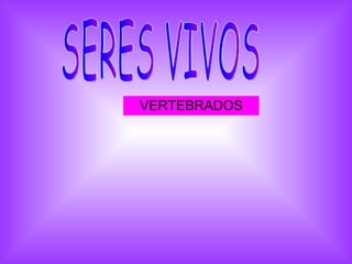 VERTEBRADOS SERES VIVOS 