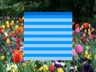 Recortes de imagenes 