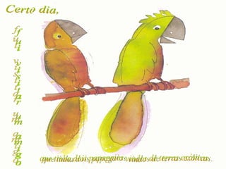 Certo dia, fui visitar um amigo que tinha dois papagaios vindos de terras exóticas. 