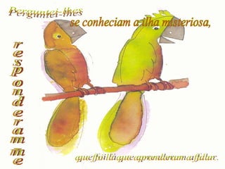 Perguntei-lhes se conheciam a ilha misteriosa, que foi lá que aprenderam a falar. responderam-me 