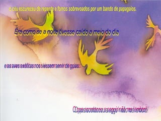 o céu escureceu de repente e fomos sobrevoados por um bando de papagaios. Era como se a noite tivesse caído a meio do dia  O que aconteceu a seguir não me lembro! e as aves exóticas nos viessem servir de guias. 