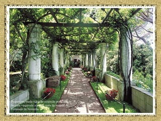 Pequenina, mede 6 km de extensão por 2 km de largura --equivale a pouco mais da metade de Fernando de Noronha.   