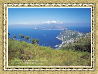 Lá vivem cerca de 12 mil moradores, divididos entre suas duas cidades, Capri e Anacapri.   