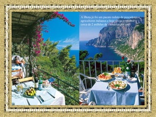 A ilhota já foi um pacato reduto de pescadores e agricultores italianos e hoje chega a receber cerca de 2 milhões de visitantes por ano.   