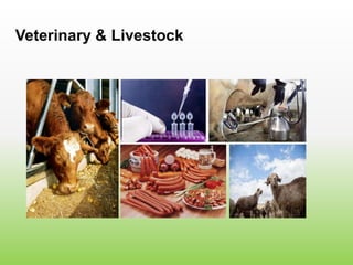 Veterinary & Livestock
 