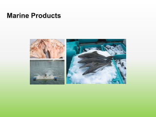 Marine Products
 