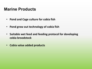 • Pond and Cage culture for cobia fish
Marine Products
• Pond grow out technology of cobia fish
• Suitable wet feed and feeding protocol for developing
cobia broodstock
• Cobia value added products
 