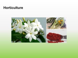 Horticulture
 
