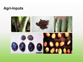 Agri-Inputs
 