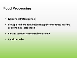 • Juli coffee (Instant coffee)
Food Processing
• Prosopis juliflora pods based cheaper concentrate mixture
as economical cattle feed
• Banana pseudostem central core candy
• Capsicum salsa
 