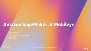 © 2019, Amazon Web Services, Inc. or its affiliates. All rights reserved.
Chaim Rand
ML Algorithm Developer
Mobileye
 