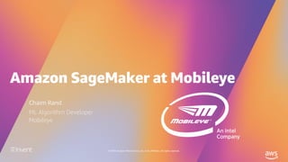 © 2019, Amazon Web Services, Inc. or its affiliates. All rights reserved.
Chaim Rand
ML Algorithm Developer
Mobileye
 