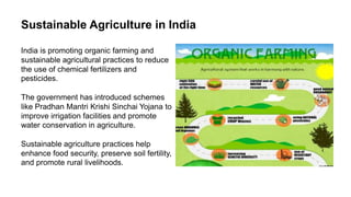Sustainable Development in India .pptx