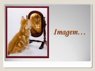 Imagem…Imagem…
 