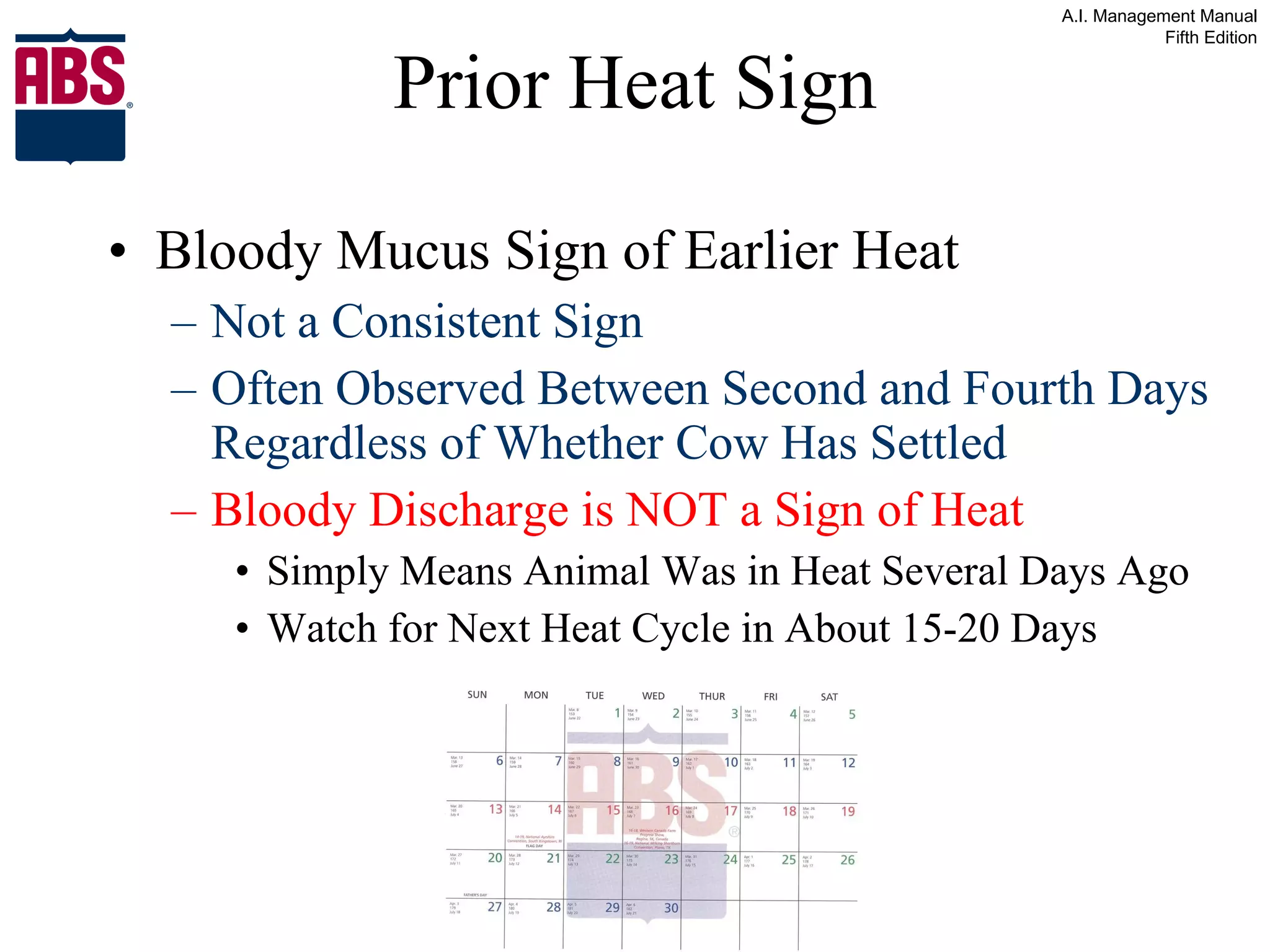 Bloody Mucus Sign of Earlier Heat Not a Consistent Sign Often Observed Between Second and Fourth Days Regardless of Whether Cow Has Settled Bloody Discharge is NOT a Sign of Heat   Simply Means Animal Was in Heat Several Days Ago Watch for Next Heat Cycle in About 15-20 Days Prior Heat Sign 