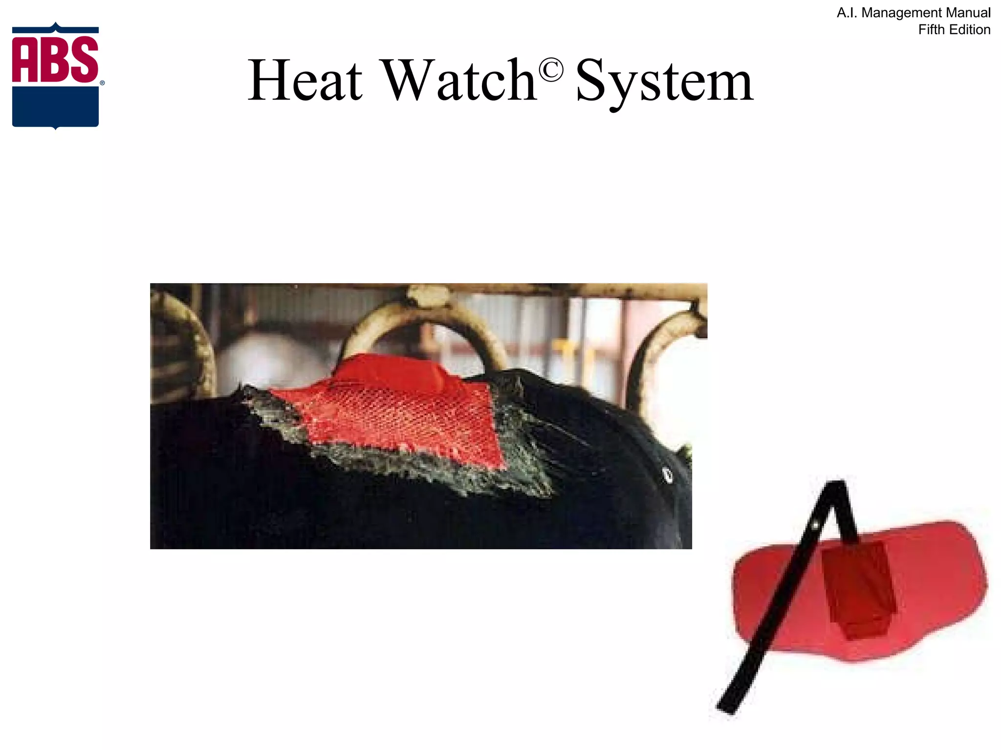 Heat Watch ©   System 