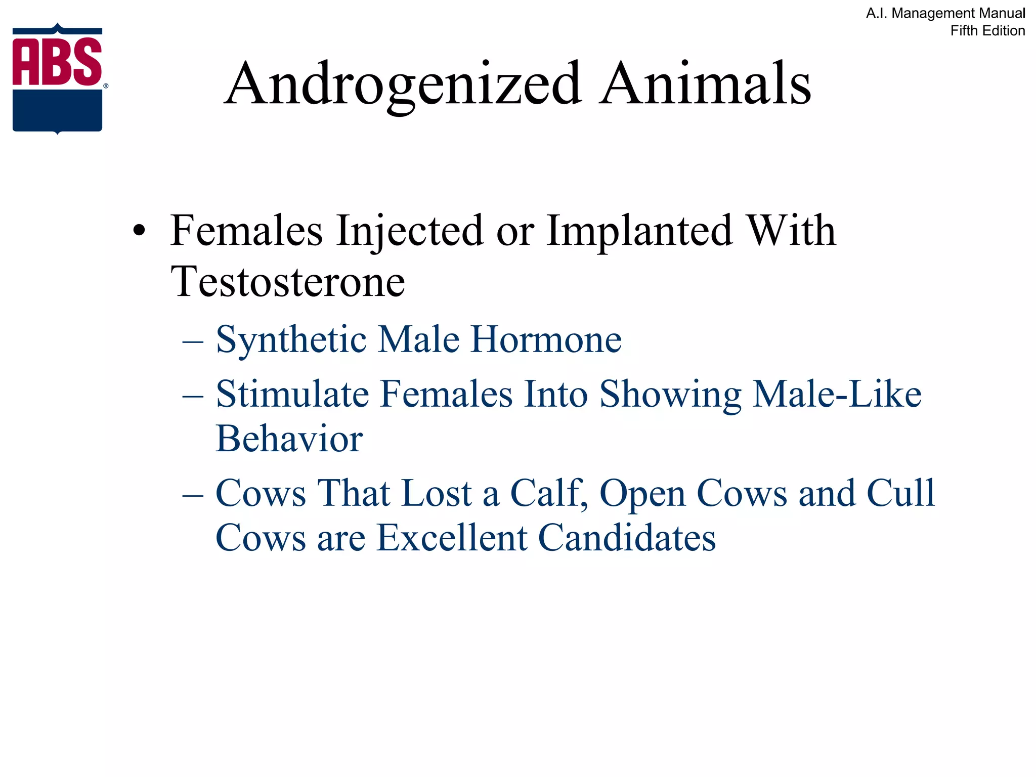 Androgenized Animals Females Injected or Implanted With Testosterone Synthetic Male Hormone Stimulate Females Into Showing Male-Like Behavior Cows That Lost a Calf, Open Cows and Cull Cows are Excellent Candidates 