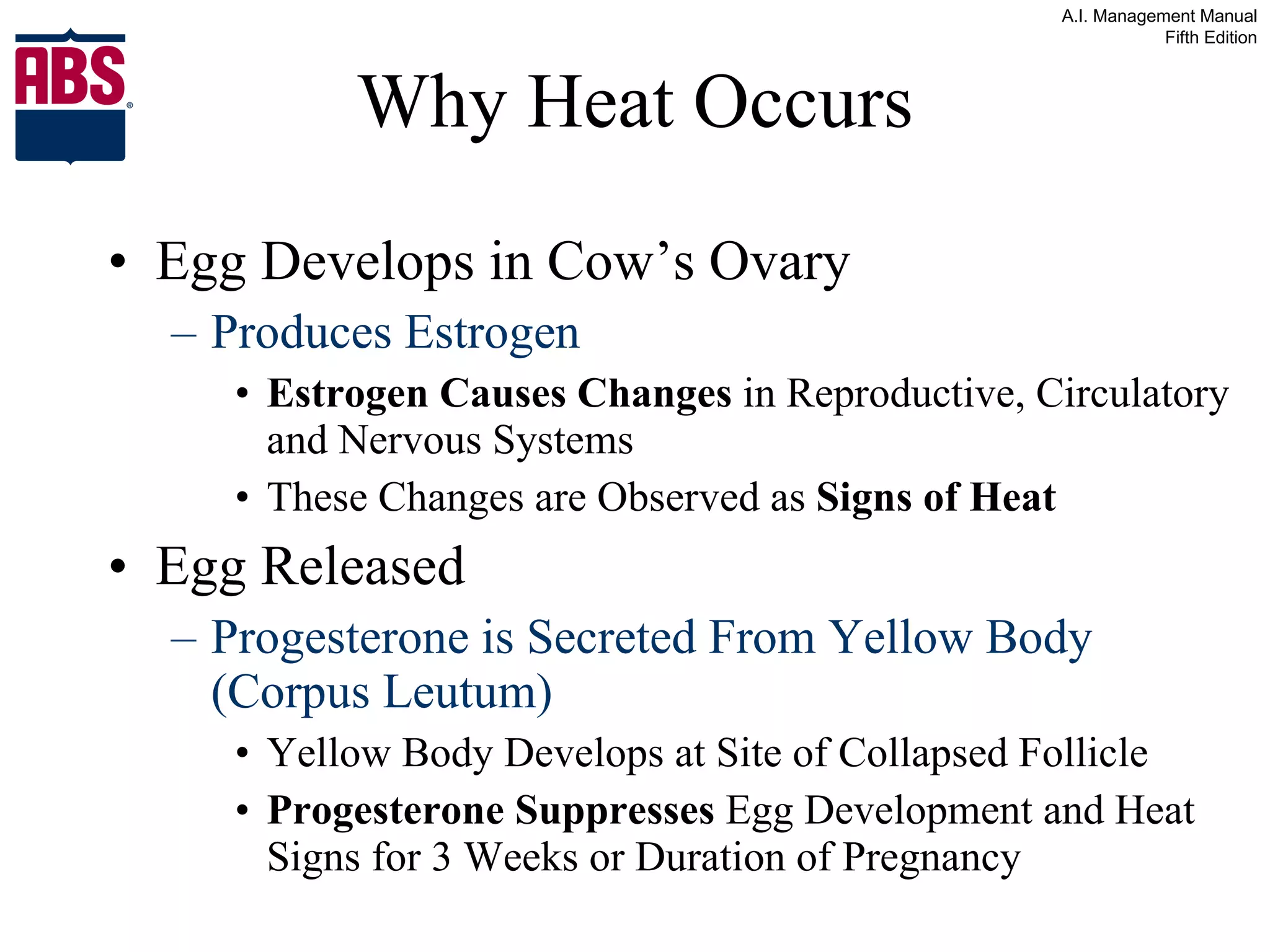 Why Heat Occurs Egg Develops in Cow’s Ovary Produces Estrogen Estrogen Causes Changes  in Reproductive, Circulatory and Nervous Systems These Changes are Observed as  Signs of Heat Egg Released Progesterone is Secreted From Yellow Body (Corpus Leutum) Yellow Body Develops at Site of Collapsed Follicle Progesterone Suppresses  Egg Development and Heat Signs for 3 Weeks or Duration of Pregnancy 