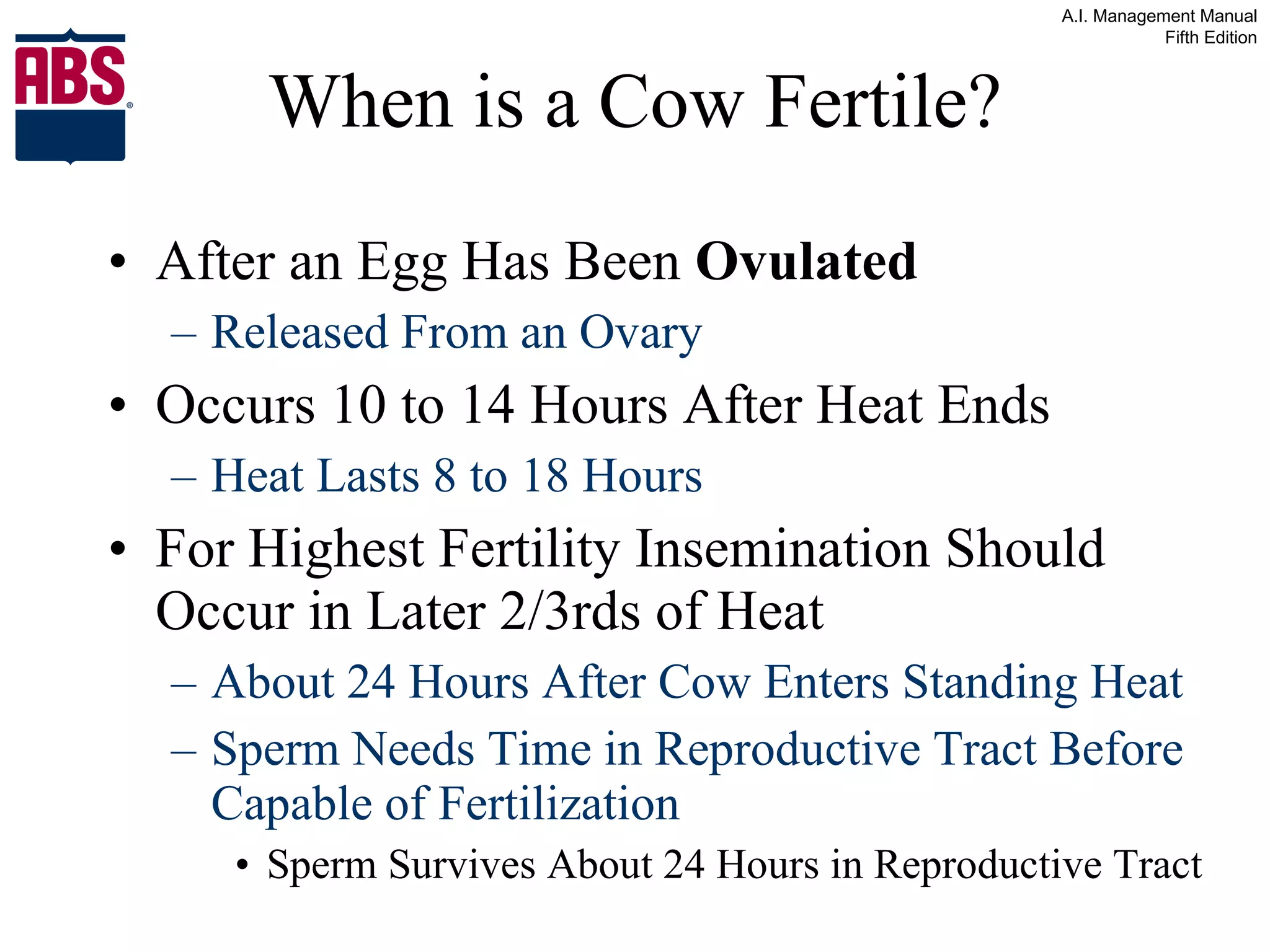When is a Cow Fertile? After an Egg Has Been  Ovulated Released From an Ovary Occurs 10 to 14 Hours After Heat Ends Heat Lasts 8 to 18 Hours For Highest Fertility Insemination Should Occur in Later 2/3rds of Heat About 24 Hours After Cow Enters Standing Heat Sperm Needs Time in Reproductive Tract Before Capable of Fertilization Sperm Survives About 24 Hours in Reproductive Tract 