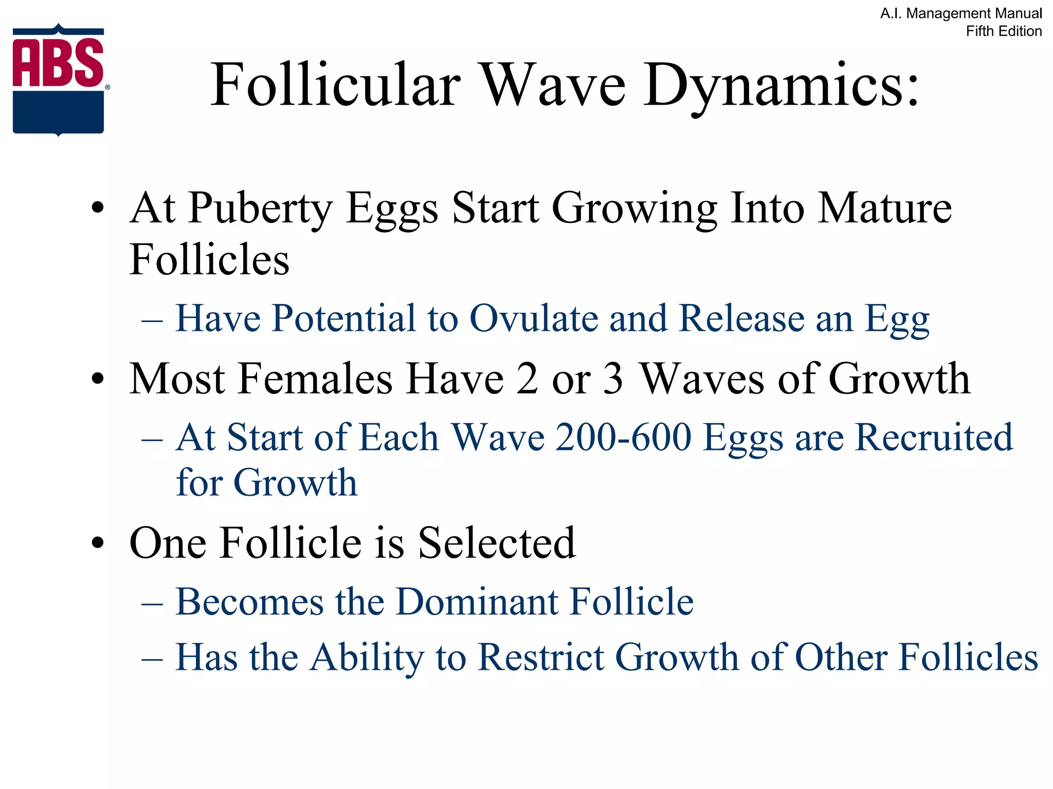 Follicular Wave Dynamics: At Puberty Eggs Start Growing Into Mature Follicles Have Potential to Ovulate and Release an Egg Most Females Have 2 or 3 Waves of Growth  At Start of Each Wave 200-600 Eggs are Recruited for Growth One Follicle is Selected  Becomes the Dominant Follicle Has the Ability to Restrict Growth of Other Follicles 