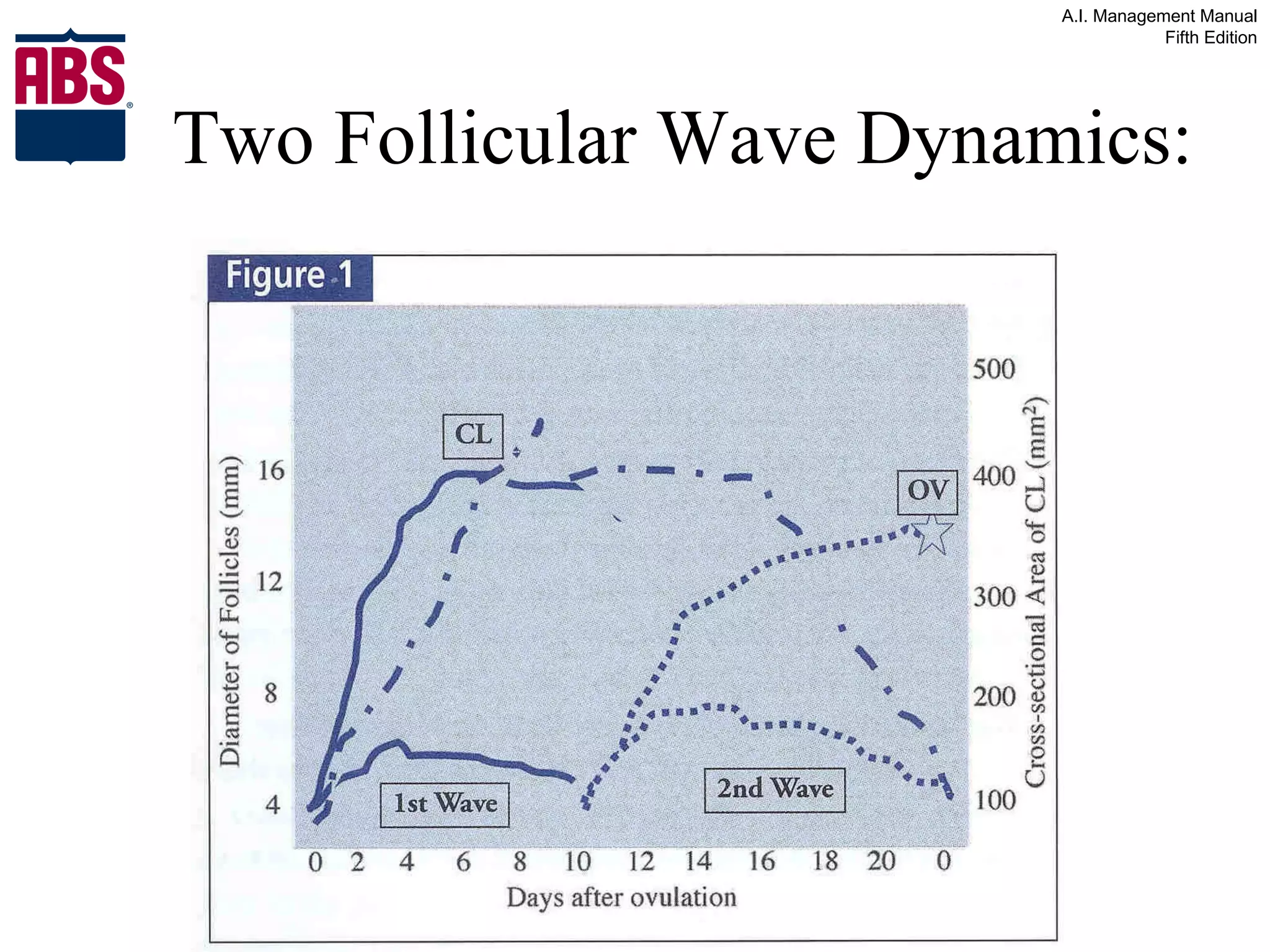 Two Follicular Wave Dynamics: 