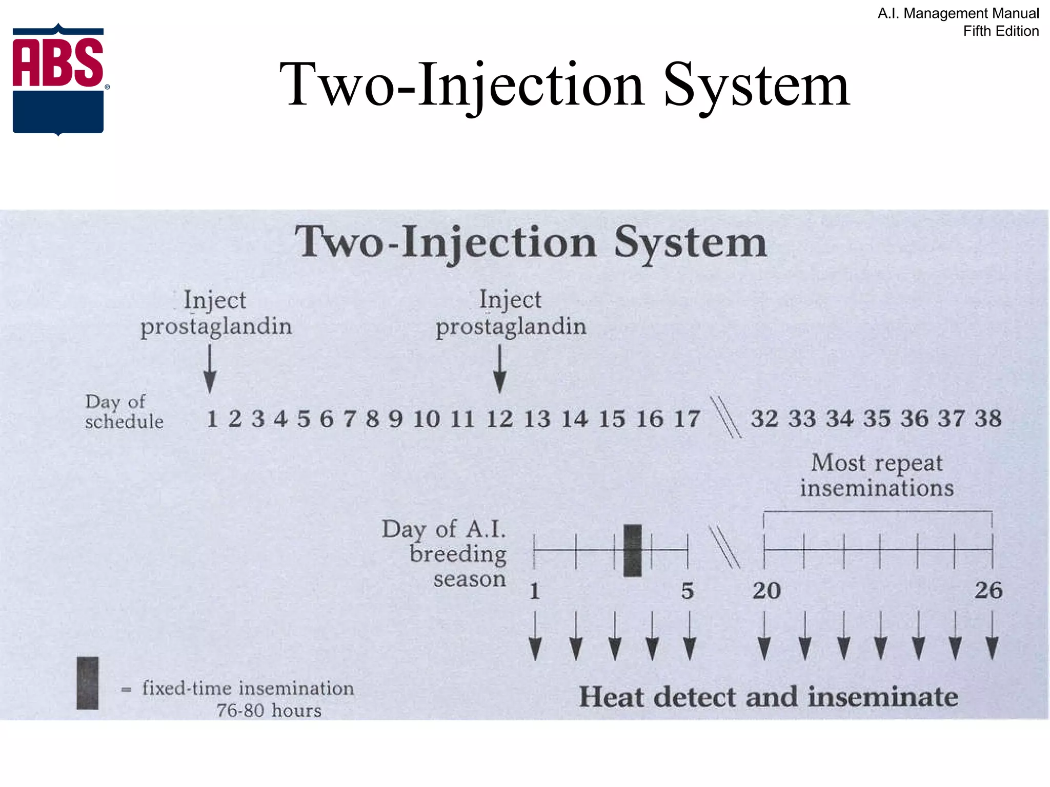 Two-Injection System 
