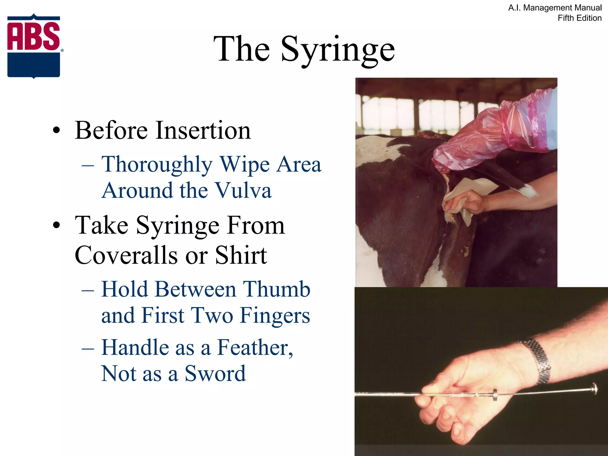 The Syringe Before Insertion Thoroughly Wipe Area Around the Vulva Take Syringe From Coveralls or Shirt Hold Between Thumb and First Two Fingers Handle as a Feather, Not as a Sword 