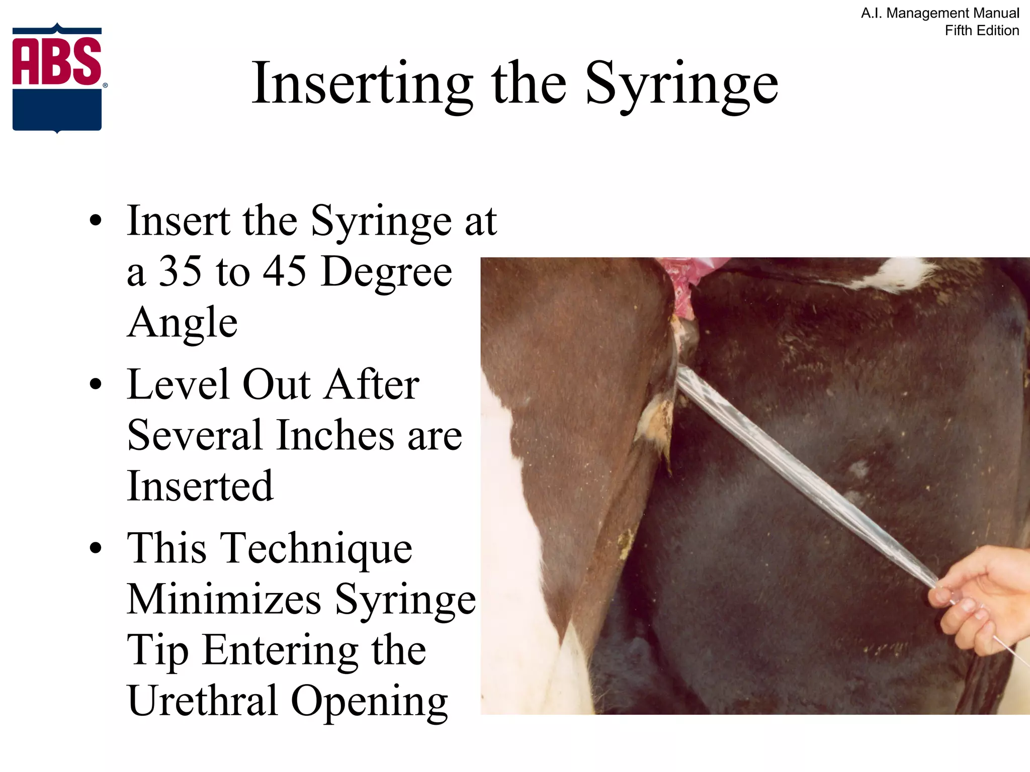 Inserting the Syringe Insert the Syringe at a 35 to 45 Degree Angle Level Out After Several Inches are Inserted This Technique Minimizes Syringe Tip Entering the Urethral Opening 