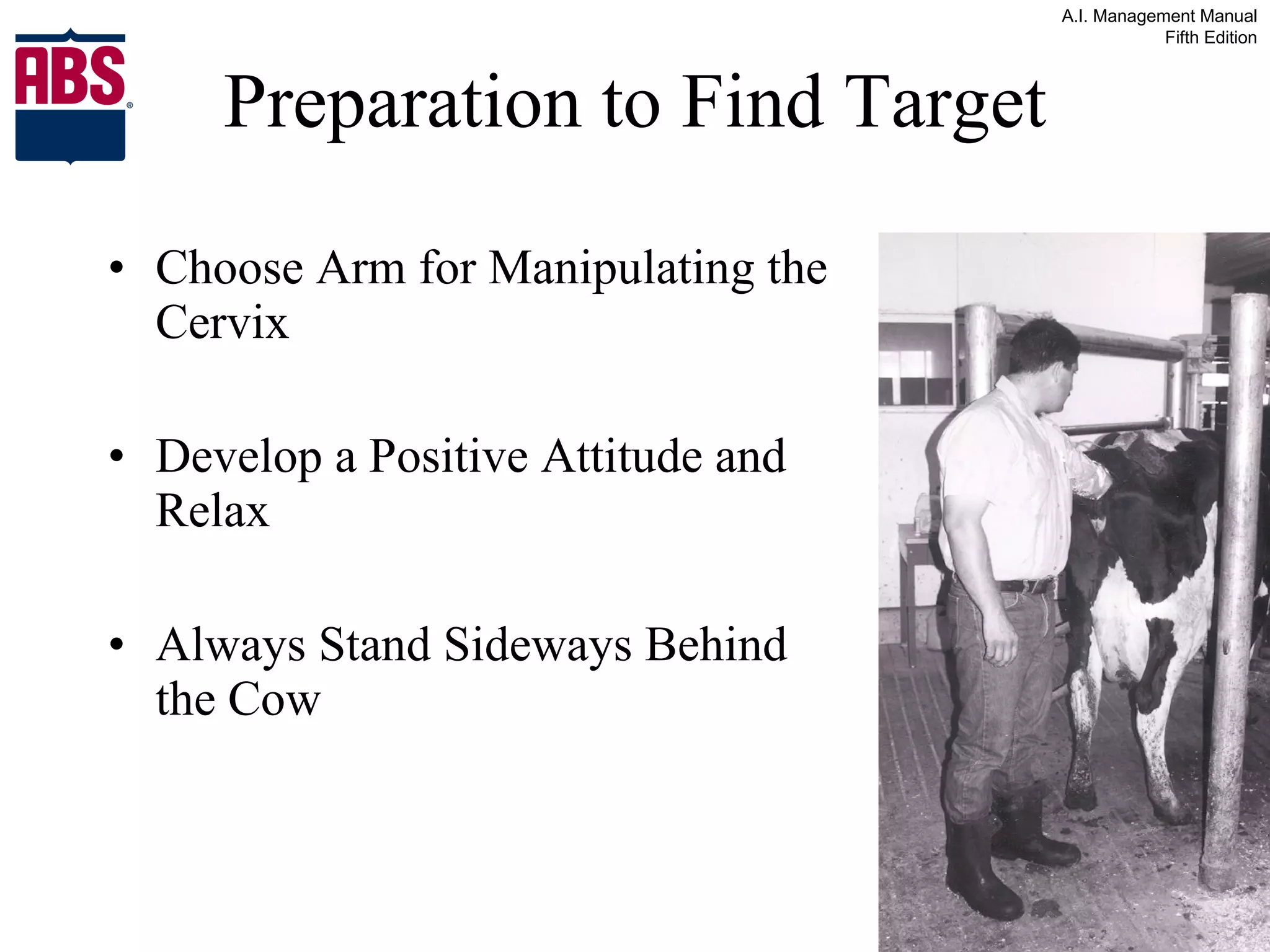 Preparation to Find Target Choose Arm for Manipulating the Cervix Develop a Positive Attitude and Relax Always Stand Sideways Behind the Cow 