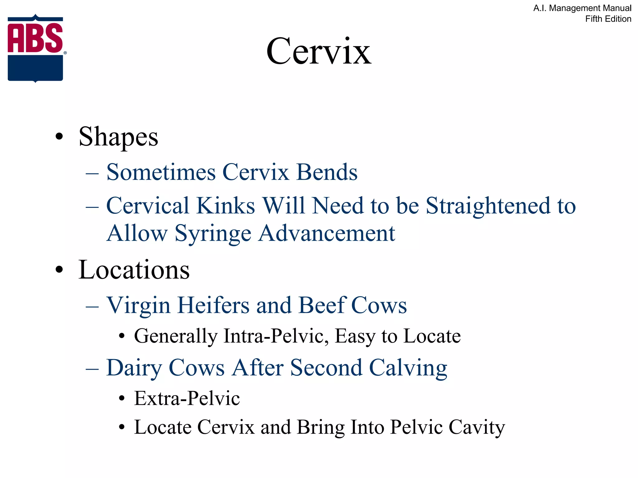 Cervix Shapes Sometimes Cervix Bends Cervical Kinks Will Need to be Straightened to Allow Syringe Advancement Locations Virgin Heifers and Beef Cows Generally Intra-Pelvic, Easy to Locate Dairy Cows After Second Calving Extra-Pelvic Locate Cervix and Bring Into Pelvic Cavity 