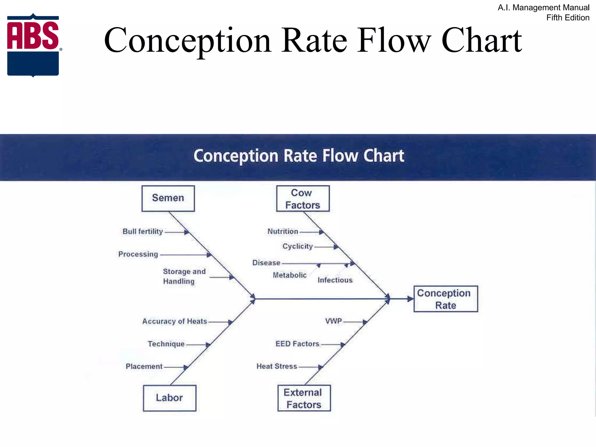 Conception Rate Flow Chart 