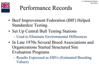 Performance Records Beef Improvement Federation (BIF) Helped Standardize Testing Set Up Central Bull Testing Stations Used to Eliminate Environmental Differences In Late 1970s Several Breed Associations and Organizations Started Structured Sire Evaluation Programs Results Expressed as EBVs (Estimated Breeding Values) 