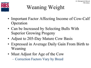 Weaning Weight Important Factor Affecting Income of Cow-Calf Operation Can be Increased by Selecting Bulls With Superior Growing Progeny Adjust to 205-Day Mature Cow Basis Expressed in Average Daily Gain From Birth to Weaning Must Adjust for Age of the Cow Correction Factors Vary by Breed 